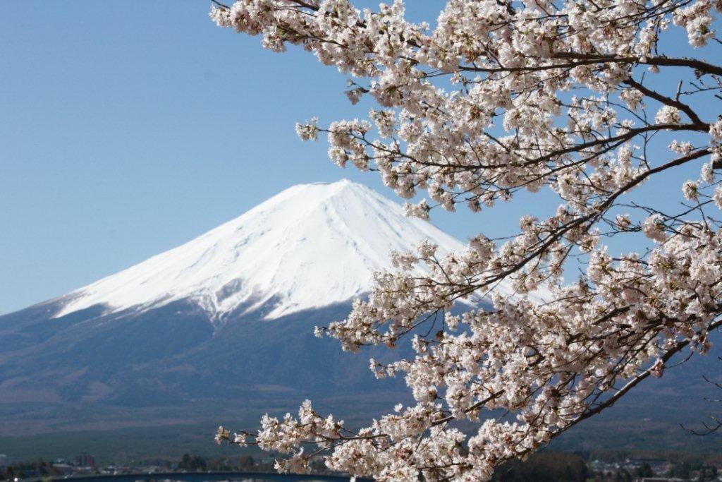 Villa 御師の家　梅谷（Umeya） à Fujikawaguchiko Extérieur photo